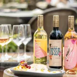 CinCin-Bianco-Wine-|-Burp-Bible